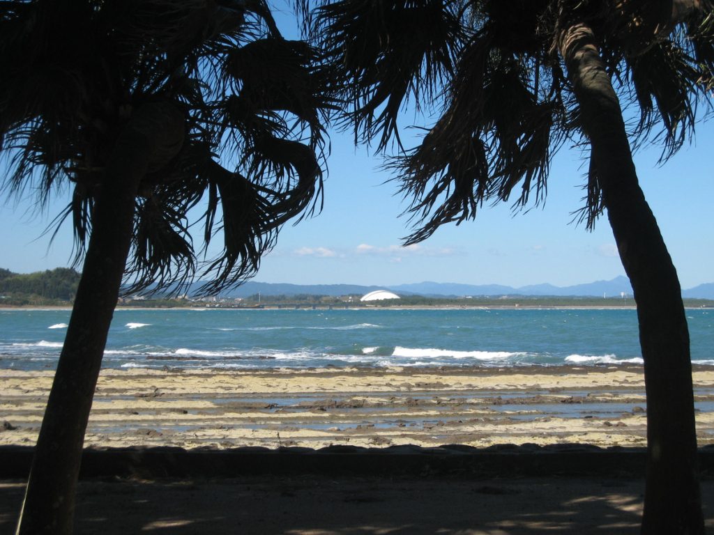 青島の海岸から